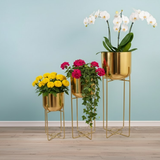 Luxe Gold Steel tree- tier Planter set