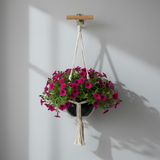 Cotton Rope Hanging Iron Planter