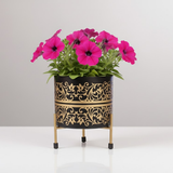 Gold Accent Iron Printed Pots with Stand
