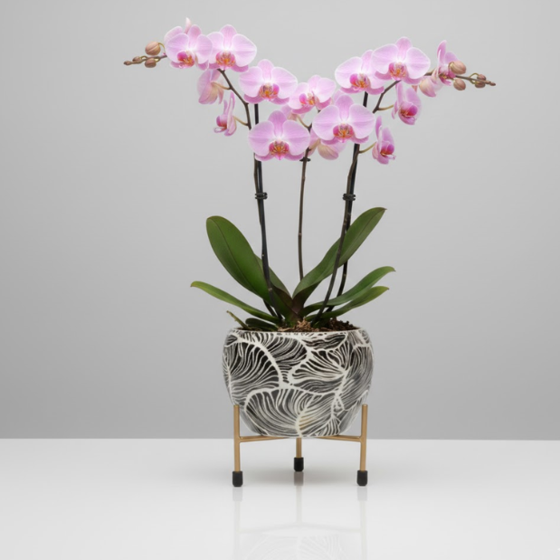 Monsoon Wave Steel Pot