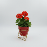 Ruby GeoFrame Planter