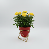 Ruby GeoFrame Planter