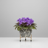 Monsoon Wave Steel Pot