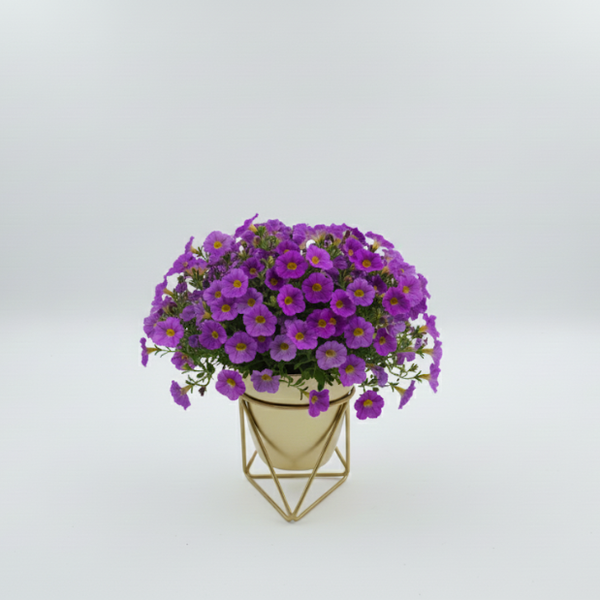 Gold GeoFrame Planter