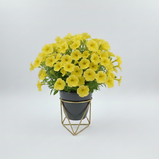 Charcoal GeoFrame Planter