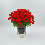 Charcoal GeoFrame Planter