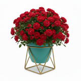 Aqua GeoFrame Planter