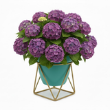 Aqua GeoFrame Planter