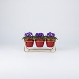 Ruby Trio Steel Pot Stand