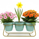 Aqua Trio Steel Pot Stand
