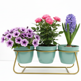 Aqua Trio Steel Pot Stand