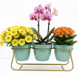 Aqua Trio Steel Pot Stand