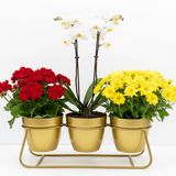 Gold Trio Steel Pot Stand