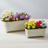 Oval Dotted Metal Pots with Antique Finish – Long Rectangular Set