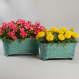 Oval Dotted Metal Pots with Antique Finish – Long Green Set