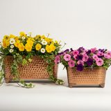 Oval Dotted Metal Pots with Antique Finish – Long Bronze Set