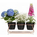 Black Trio Steel Pot Stand