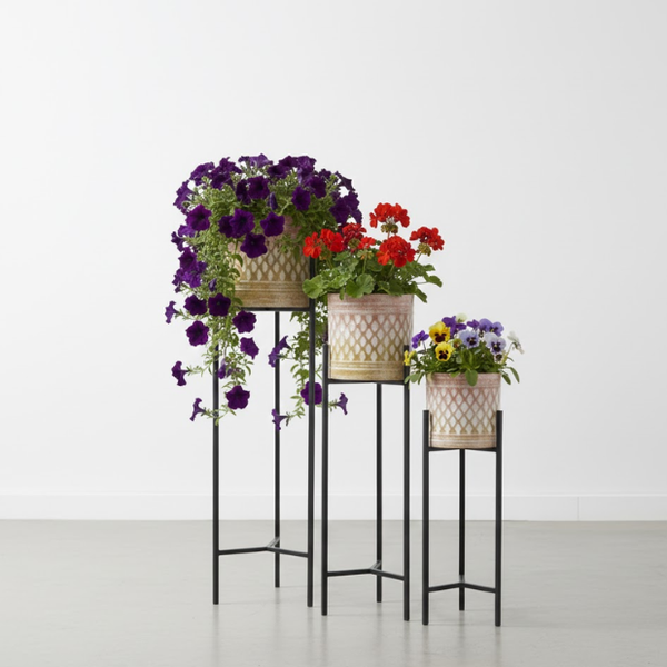 Luxe Lattice Steel Planters Set of 3