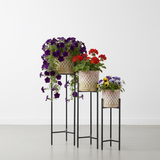 Luxe Lattice Steel Planters Set of 3