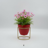 Small Golden Metal Pot with Stand