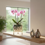 Mosaic Mini Steel Pot