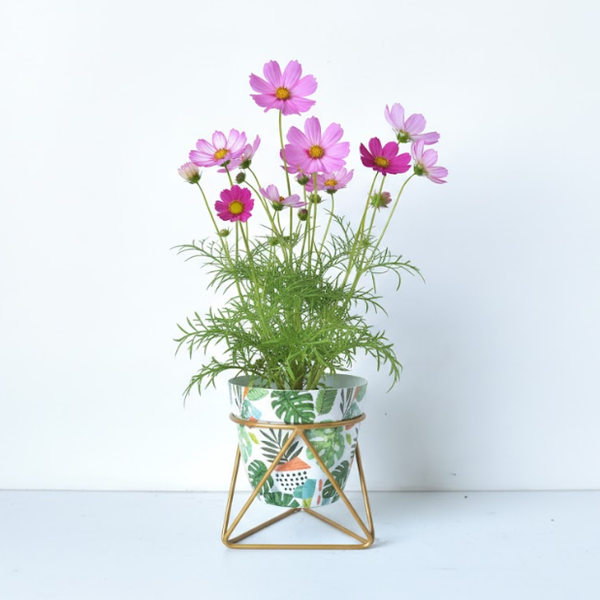 Geometric Botanical Metal Pot with Stand