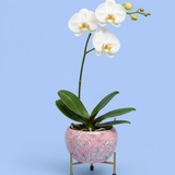 Blush Petal Steel Pot