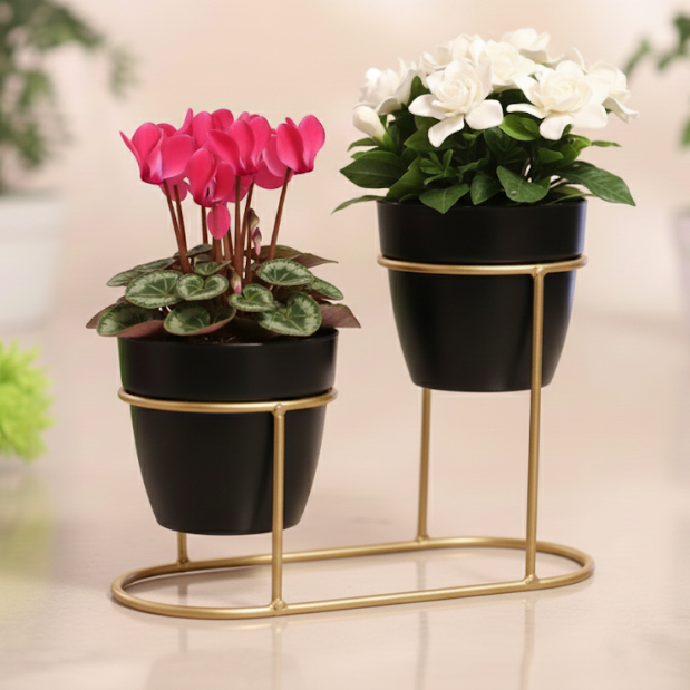 Small Golden Double Steel Planter Stand – Ebony Black