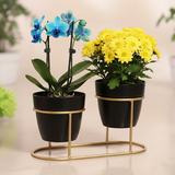 Small Golden Double Steel Planter Stand – Ebony Black