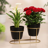 Small Golden Double Steel Planter Stand – Ebony Black