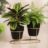 Small Golden Double Steel Planter Stand – Ebony Black