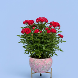 Blush Petal Steel Pot