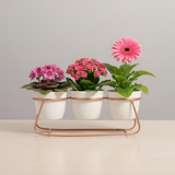 Three Pot Metal Table Stand