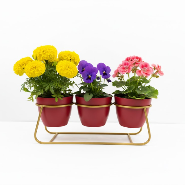 Three Pot Table Stand