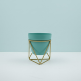 Elegant Steel Pot with Gold Stand planters