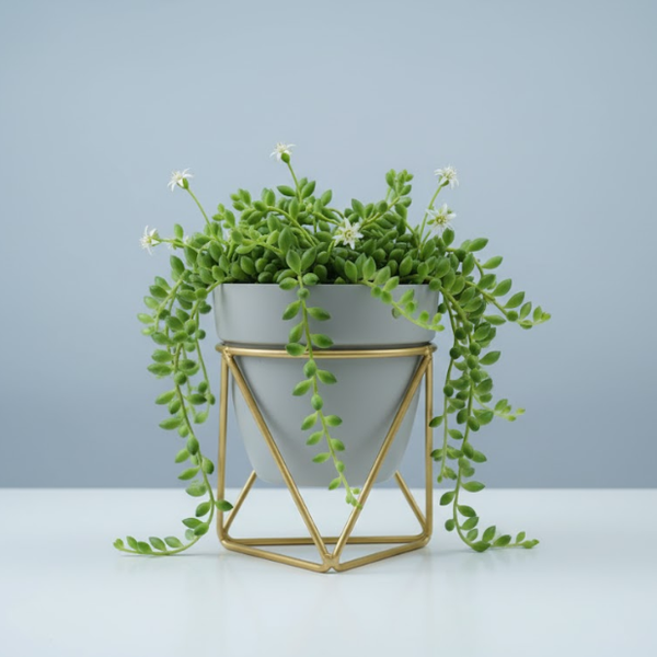 Elegant Steel Pot with Gold Stand planters