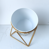 Cactus Mix Printed Steel Pot with Golden Geometric Stand