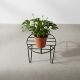 Modern V-Shape Steel Planter Stand