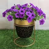 Black & Gold Embossed Pot