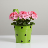 Polka Dot Iron Hanging Pot