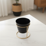 Black Classic Steel Pot with Golden Stand