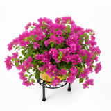 Steel Ornate Pot Stand