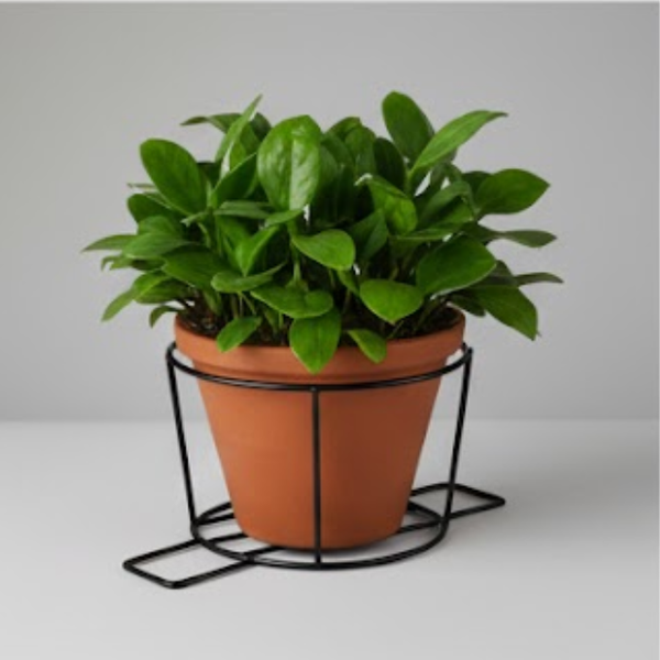 Steel Railing Pot Holder Stand