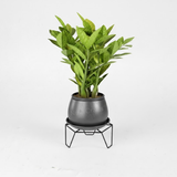 Steel Hexagonal Pot Stand Set