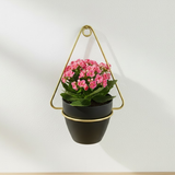 Steel Wall Hanging Planter Stand Set