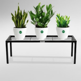 Steel Folding Single Tier Plant Stand