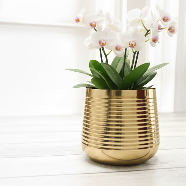 Gold Steel Decorative Metal Planter