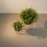 Premium Duo Zigzag Frame Planters