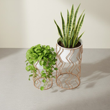 Geometric Gold Frame Planters Duo