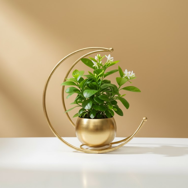 Steel Crescent Moon Planter